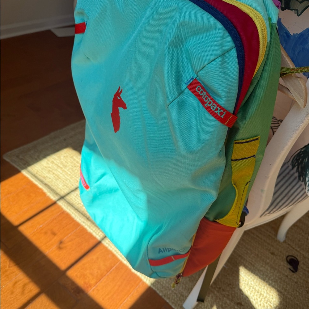 Cotopaxi Alpha 45l del dia